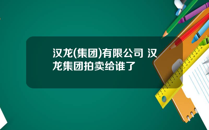 汉龙(集团)有限公司 汉龙集团拍卖给谁了